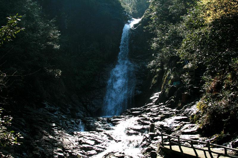 坦克大乱斗